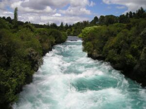 Read more about the article Salmon Fishing in New York’s Salmon River