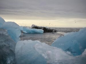 Read more about the article Explore The Best Nordic Cruises