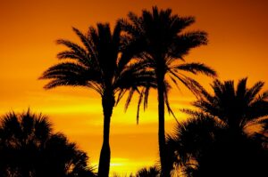 Read more about the article Top 10 Golf Courses in Florida